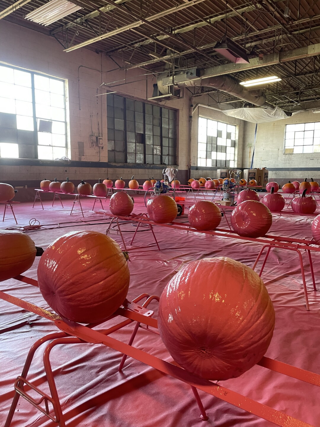 Pinkn' Patch spray painting 20K pumpkins for fight against breast